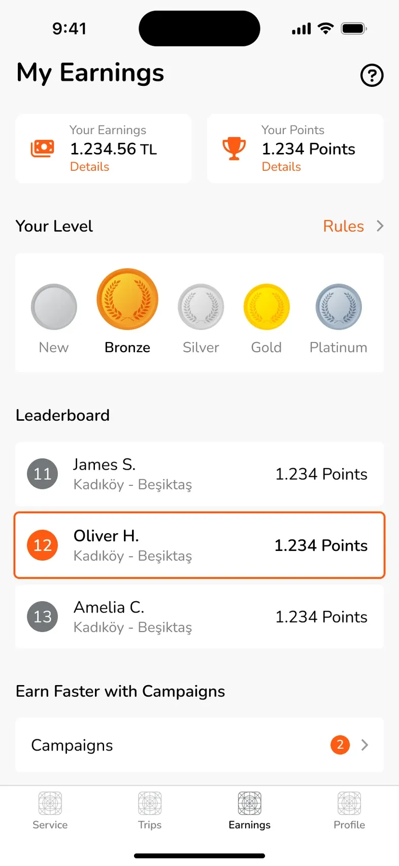 Earnings, points, level and leaderboard